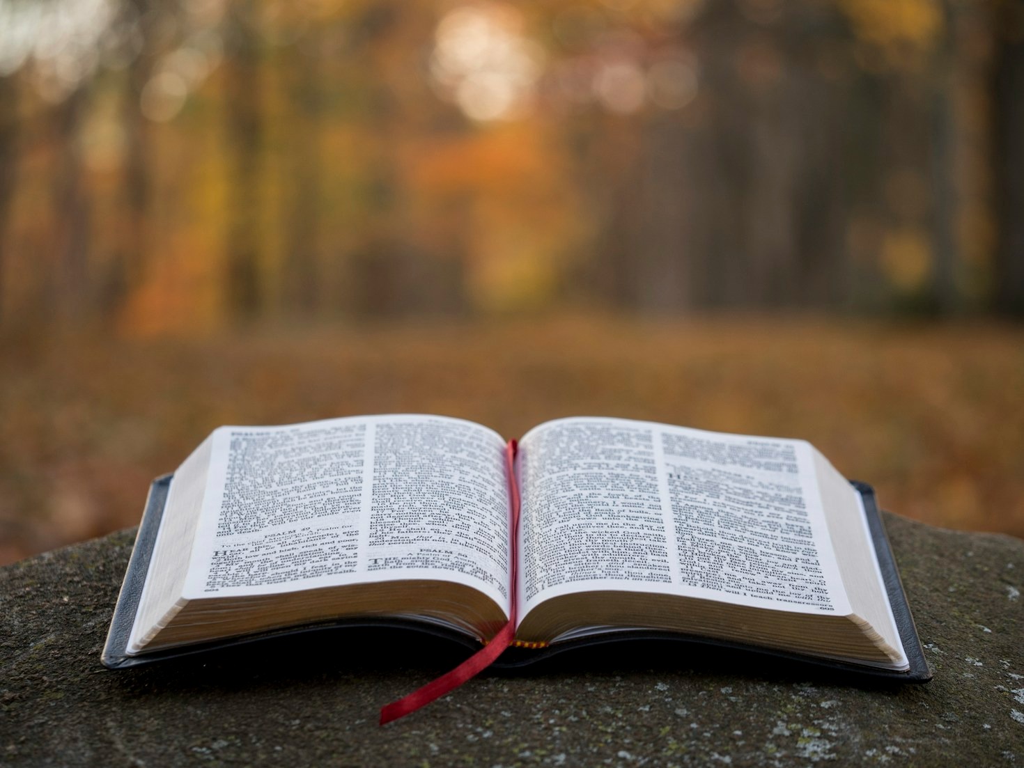 Exploring Other Bible Versions for Deeper Insights